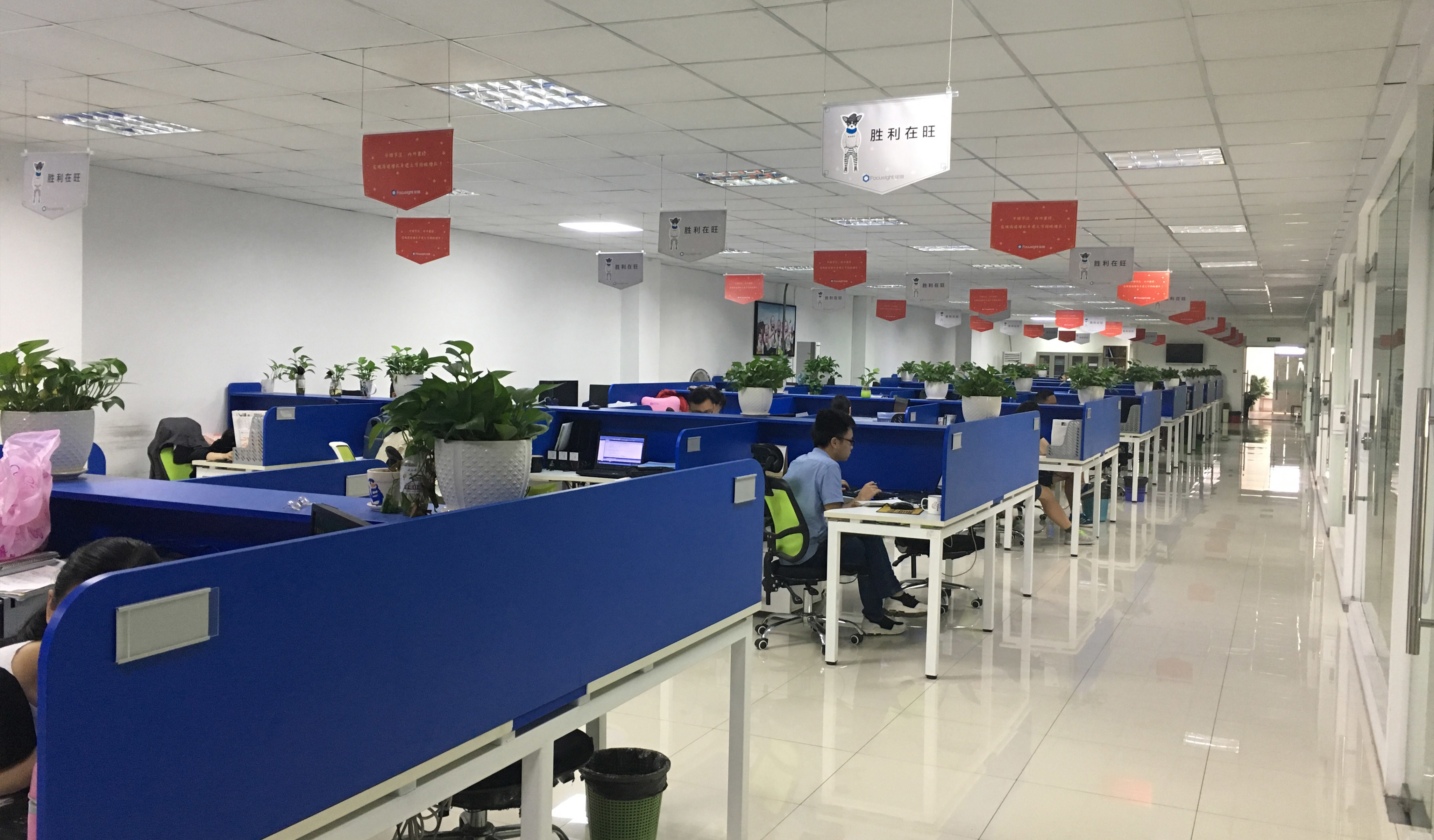 Çin Focusight Technology Co.,Ltd şirket Profili