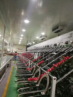 Taze Çiçek Doğru Odaklama Muayene Makinesi